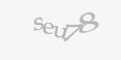 Código de segurança